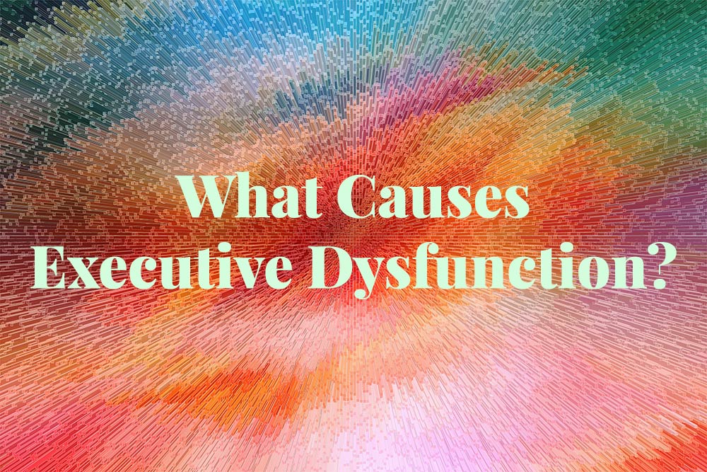 What Causes Executive Dysfunction?