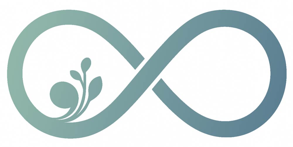 SpringSource Bridges Medicine and Mental Health