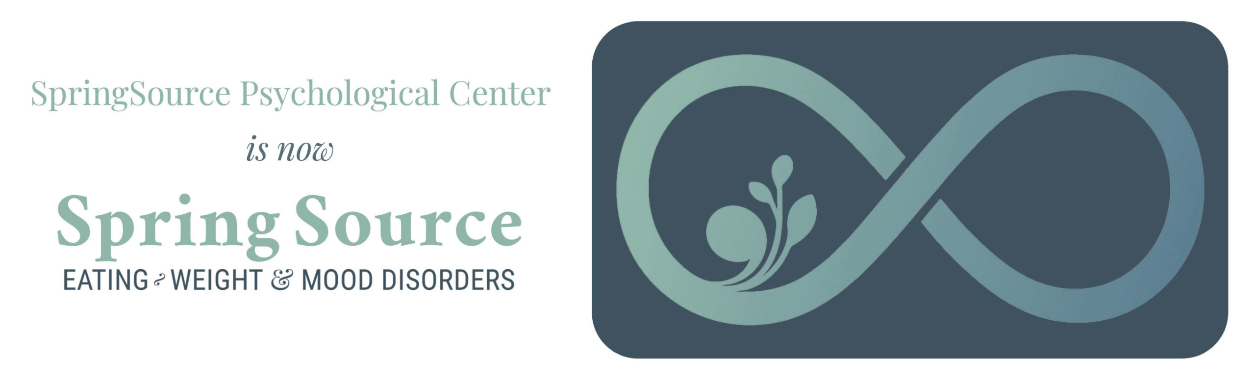 SpringSource: Eating, Weight & Mood Disorders